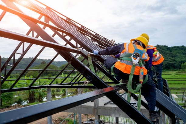 Best Roof Maintenance Services  in Brewster, NY